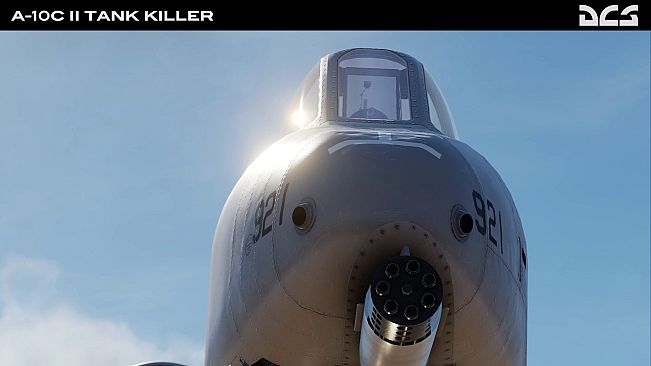 DCS: A-10C II Tank Killer