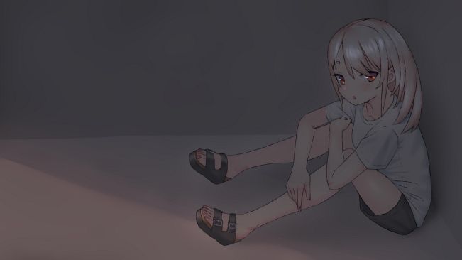 The Brave and Princess of Moonlit Night