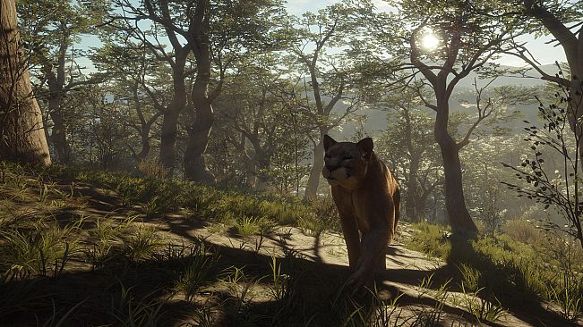 theHunter: Call of the Wild - Parque Fernando