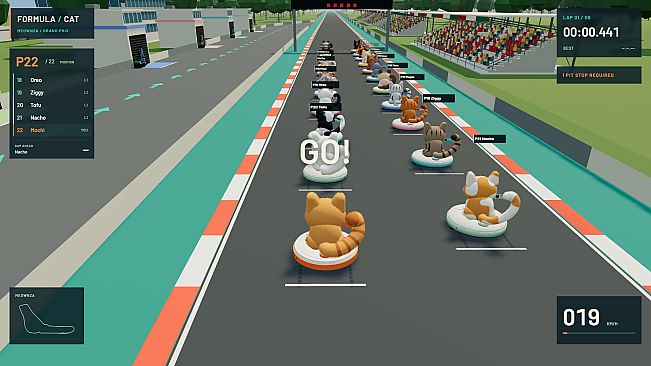 Formula Cat