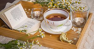 Master of Pieces Jigsaw Puzzles- Still Life # 1 DLC