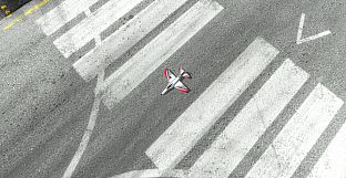 RealFlight Evolution