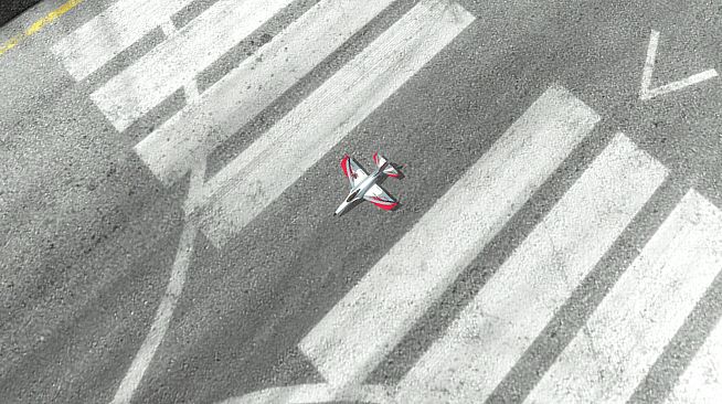 RealFlight Evolution