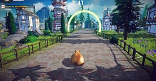 Cat Karting