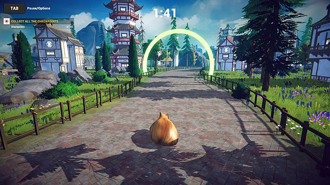 Cat Karting