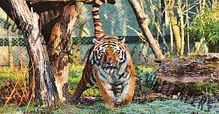 Good puzzle: Animals - Wallpapers