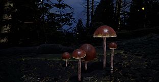 Mushroom Simulator Co-op