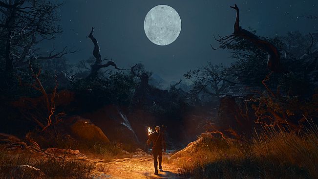 The Witcher 3: Wild Hunt — Songs of the Past