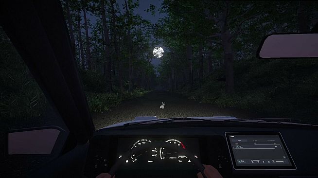 Endless Casual Drive