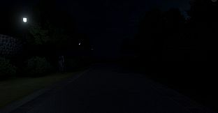 The Way Home at Night