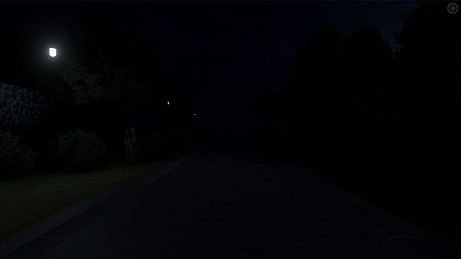 The Way Home at Night