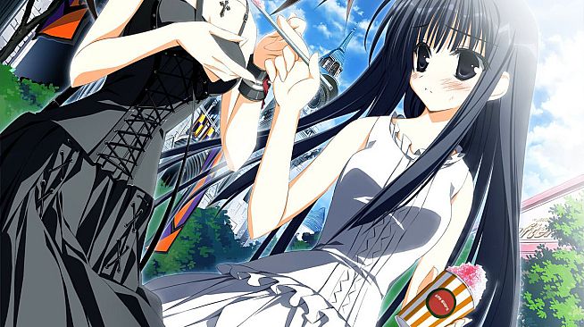 Wonderful Everyday Down the Rabbit-Hole