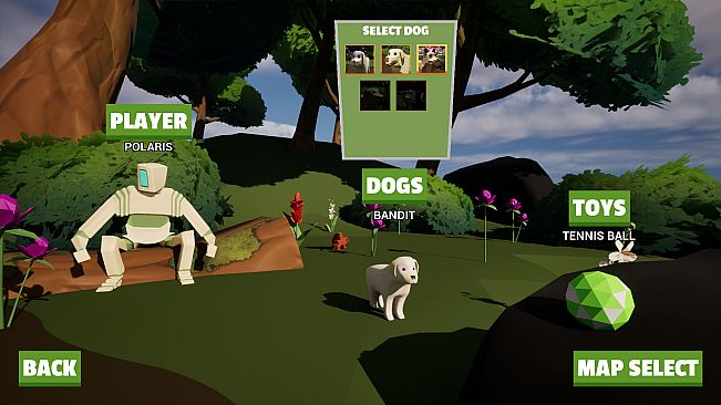 Dog Walking Adventures