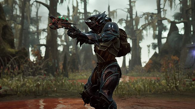 Remnant: From the Ashes - Swamps of Corsus
