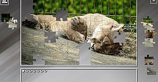 Super Jigsaw Puzzle: Generations - Random Animals 3