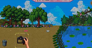 ToadPonds