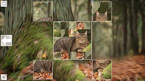 Puzzle Art: Cats