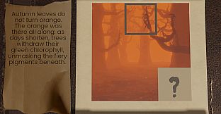 Solid Void - Halloween Nonograms