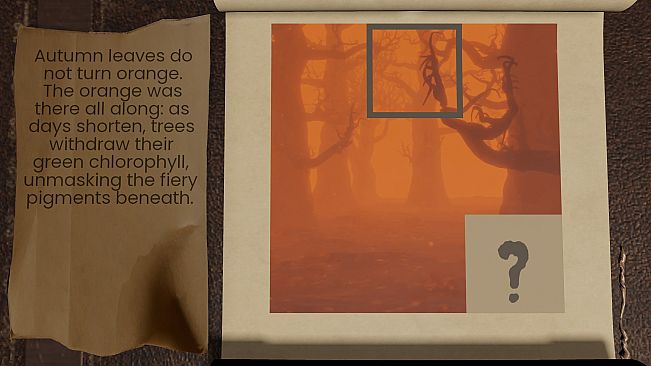 Solid Void - Halloween Nonograms