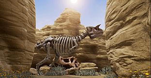 Mystery Stone from Heaven