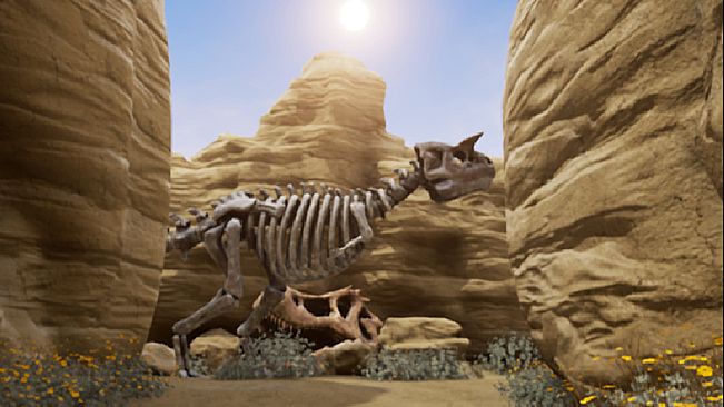 Mystery Stone from Heaven