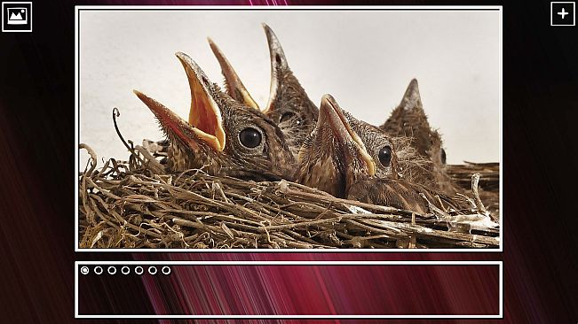 Super Jigsaw Puzzle: Generations - Birds Puzzles