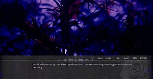 The Witch In The Woods