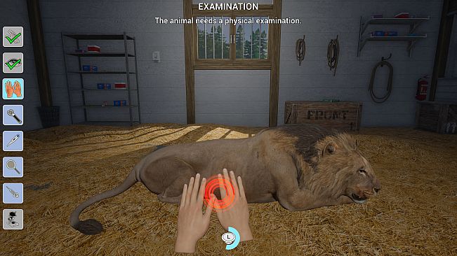 My Life: Zoo Vet