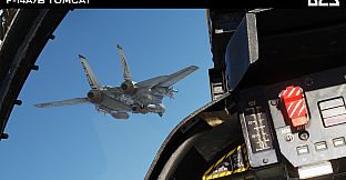 DCS: F-14A/B Tomcat by Heatblur Simulations