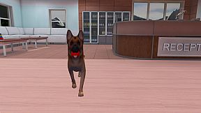 VetVR Veterinary Simulator