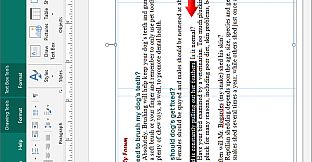 Professor Teaches Publisher 2019