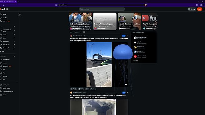 Talking Jellyfish AI