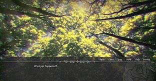 The Witch In The Woods