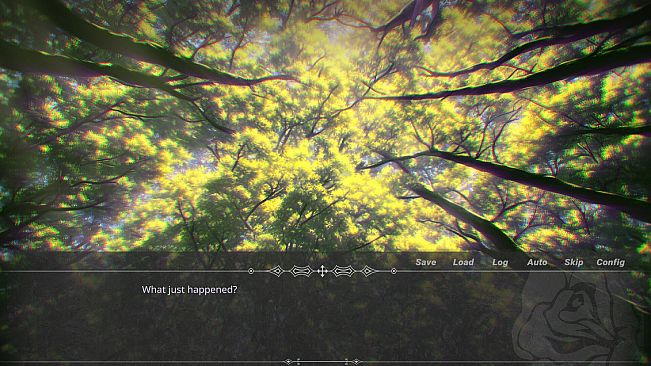 The Witch In The Woods