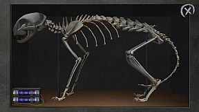 匿名信：失心者 / Stayer