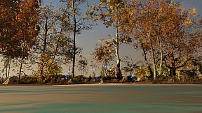 Nature Treks: Together