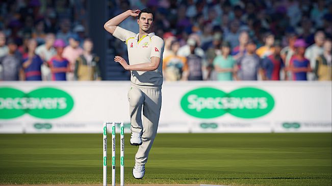 Cricket 19 Windows 10