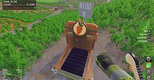 Quadrillion Carrots