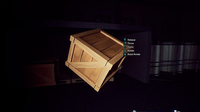 Plura Ingenia: Patient 16