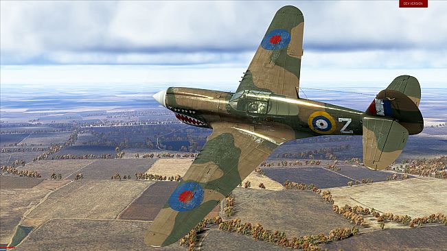 IL-2 Sturmovik: P-40E-1 Collector Plane