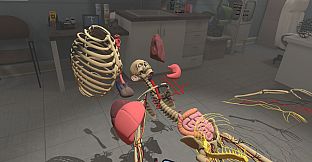 Human Constructor VR