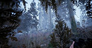 Photography Simulator