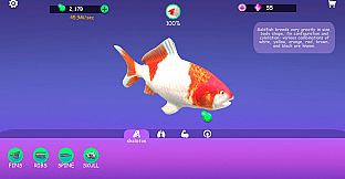 IDLE Animal Anatomy