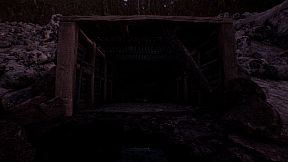 The Watching Woods: The Louse