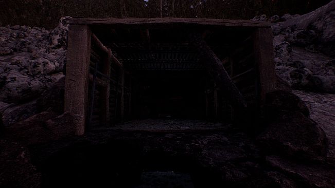 The Watching Woods: The Louse