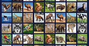 Memory Lost-Pairs - Animals