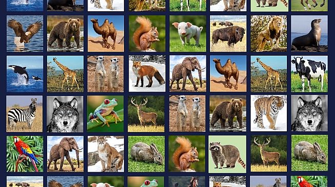 Memory Lost-Pairs - Animals