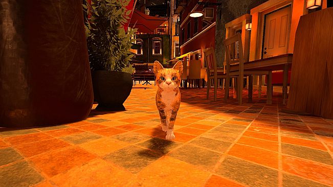 Catropolis