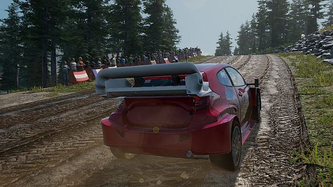 Rally Evolution 2025