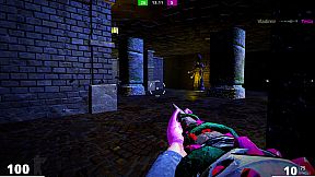 Witches of the Fourth Multiplayer